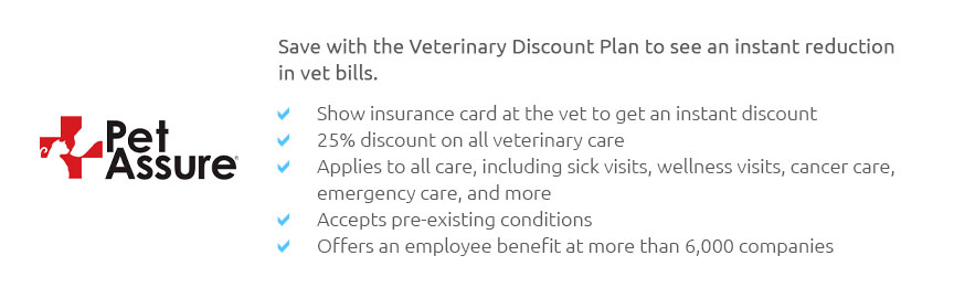 Dog Liability Insurance For Renters 🐶 Feb 2025